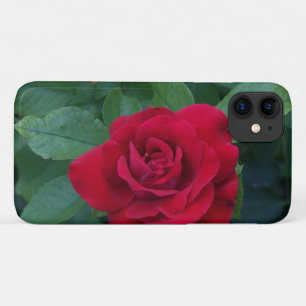 Red Rose Up Close Case-Mate iPhone Case