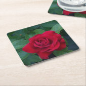 Red Rose Up Close Kartonnen Onderzetters (Schuin)
