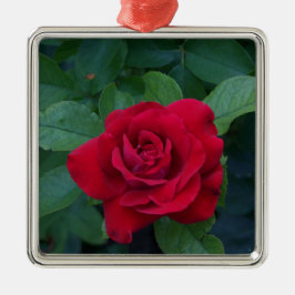 Red Rose Up Close Metalen Ornament