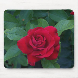Red Rose Up Close Muismat