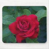 Red Rose Up Close Muismat (Voorkant)