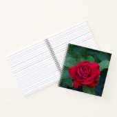 Red Rose Up Close Notitieboek (Binnen)