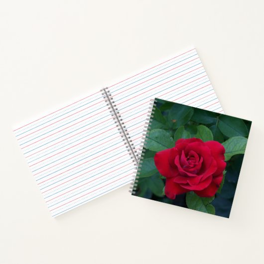 Red Rose Up Close Notitieboek (Binnen)