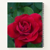 Red Rose Up Close Notitieboek (Achterkant)