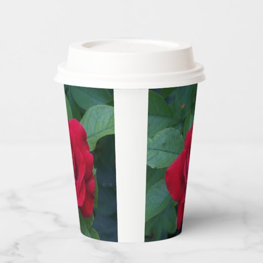 Red Rose Up Close Papieren Bekers (Links)