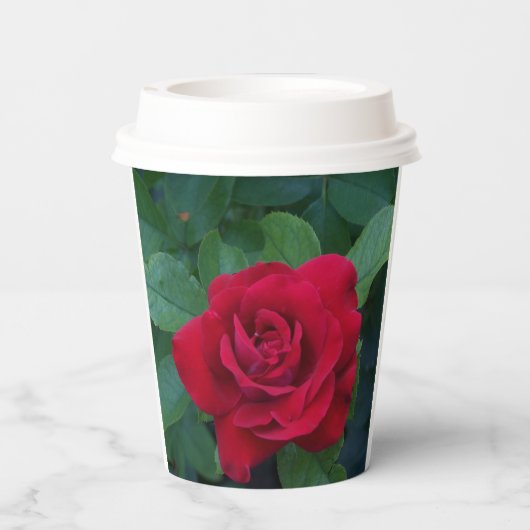Red Rose Up Close Papieren Bekers (Achterkant)