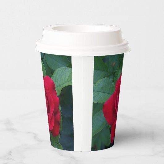 Red Rose Up Close Papieren Bekers (Rechts)