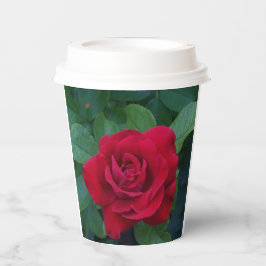 Red Rose Up Close Papieren Bekers