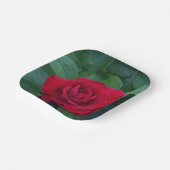 Red Rose Up Close Papieren Bordje (Gebogen)