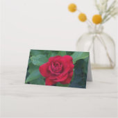 Red Rose Up Close Plaatskaartje (Achterkant)