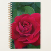 Red Rose Up Close Planner (Voorkant)