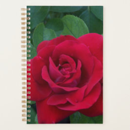 Red Rose Up Close Planner