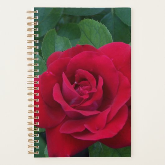 Red Rose Up Close Planner (Voorkant)