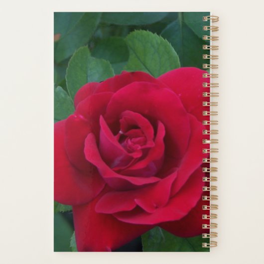 Red Rose Up Close Planner (Achterkant)