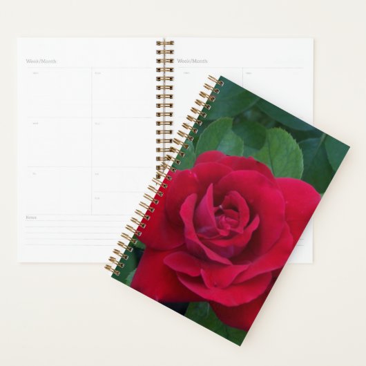 Red Rose Up Close Planner (Display)