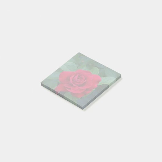 Red Rose Up Close Post-it® Notes (Schuin)
