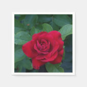 Red Rose Up Close Servet (Voorkant)