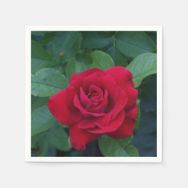 Red Rose Up Close Servet