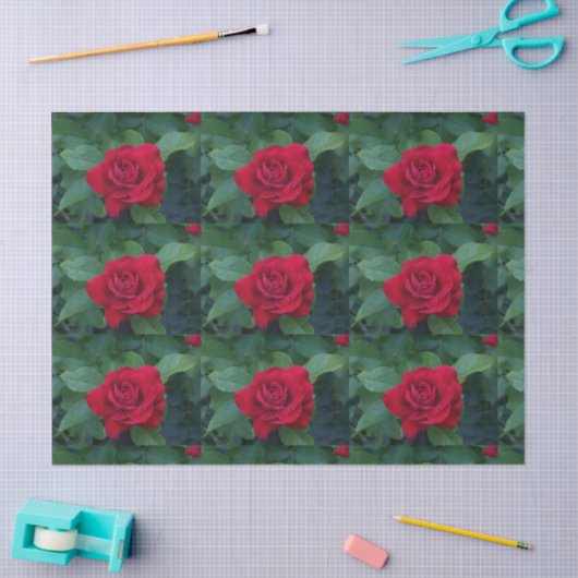 Red Rose Up Close Tissuepapier (Craft)