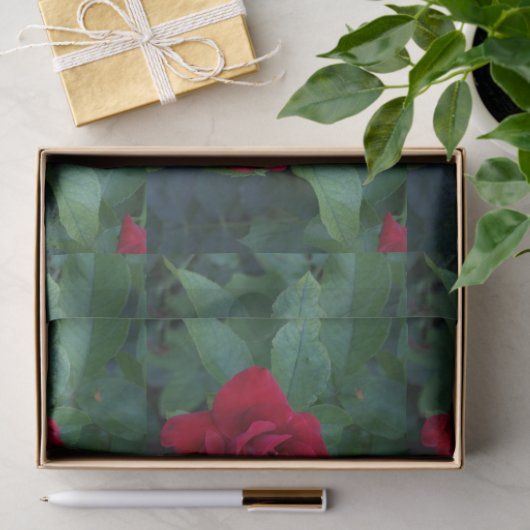 Red Rose Up Close Tissuepapier (Geschenk)