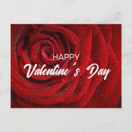 Red Rose, Valentijn Briefkaart