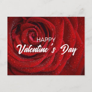 Red Rose, Valentijn Briefkaart