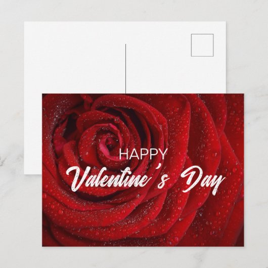 Red Rose, Valentijn Briefkaart (Voorkant / Achterkant)