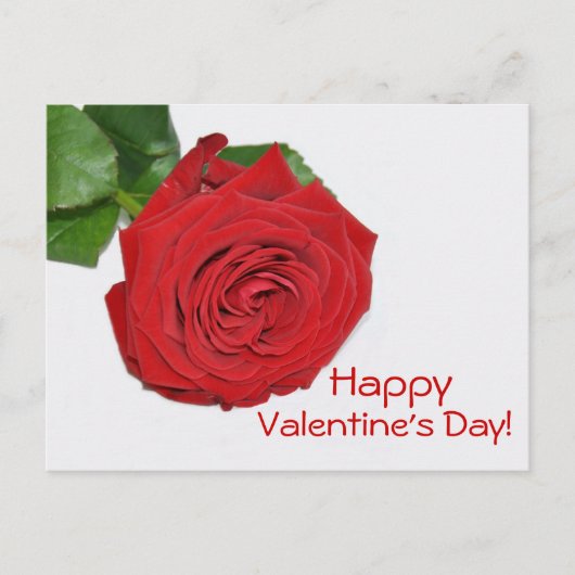 Red Rose Valentijnsdag Briefkaart (Voorkant)
