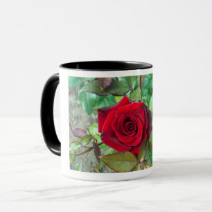 Red Rose Valentijnsdag Mok