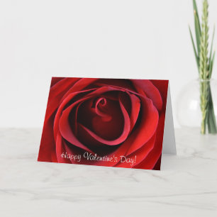 Red Rose van dichtbij, fijne Valentijnsdag! Feestdagen Kaart