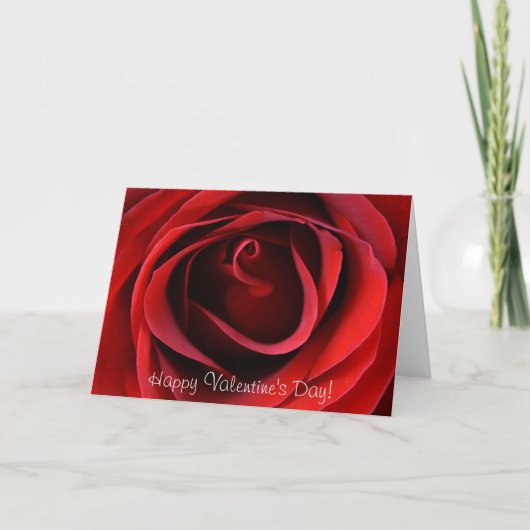 Red Rose van dichtbij, fijne Valentijnsdag! Feestdagen Kaart (Voorkant)