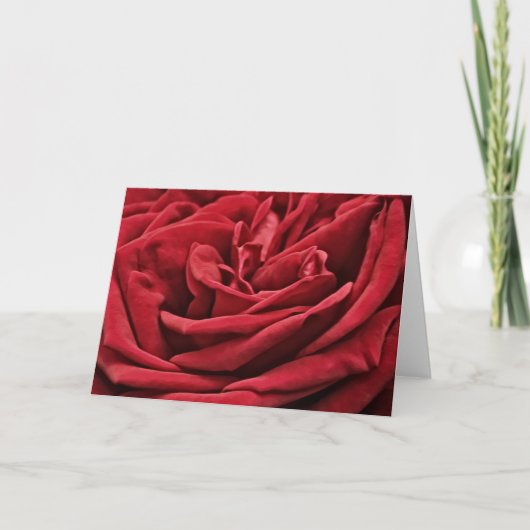 Red Rose Velvet Petals Flower Art Note Kaart (Voorkant)