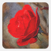 Red Rose Vierkante Sticker (Voorkant)