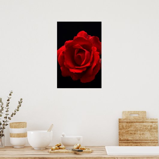 Red Rose wapm Poster (Keuken)