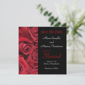 Red Rose Wedding Save the Date Notice Card (Staand voorkant)