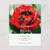 Red Rose Wedding Save the Date Uitnodiging Briefkaart (Voorkant)