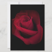 Red Rose Wedding Uitnodiging, sparen de datum Feestdagenkaart (Voorkant)