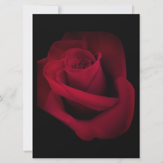 Red Rose Wedding Uitnodiging, sparen de datum Feestdagenkaart (Voorkant)