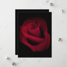 Red Rose Wedding Uitnodiging, sparen de datum