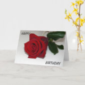 RED ROSE WENSKAART KAART (Gele Bloem)