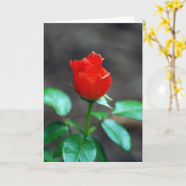 Red Rose wenskaart leeg van binnen Kaart (Gele Bloem)