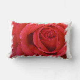 Red Rose White Border Lumbar Kussen
