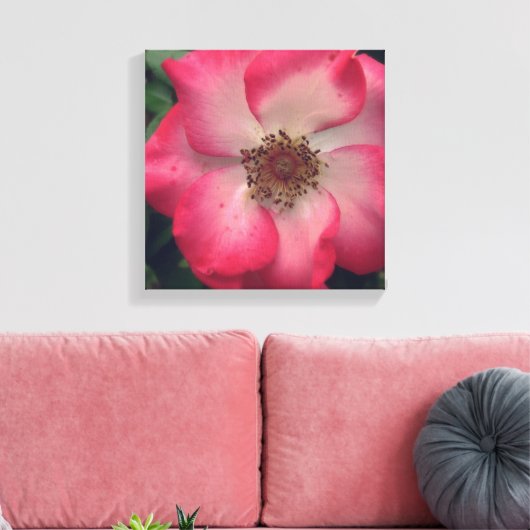 Red Rose Wrapped Canvas (Insitu (Woonkamer))