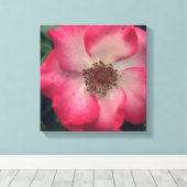 Red Rose Wrapped Canvas Afdruk (Insitu (Houten vloer))