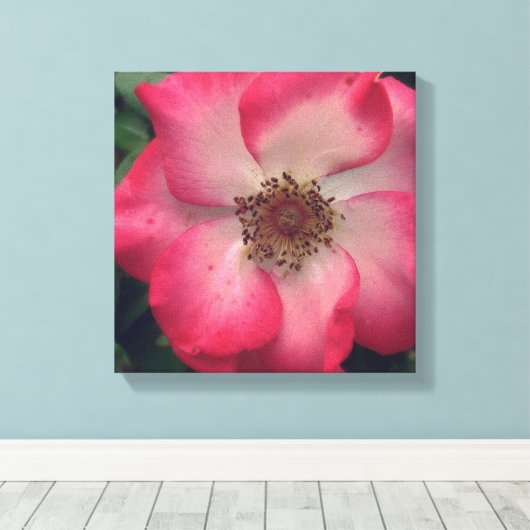 Red Rose Wrapped Canvas Afdruk (Insitu (Houten vloer))