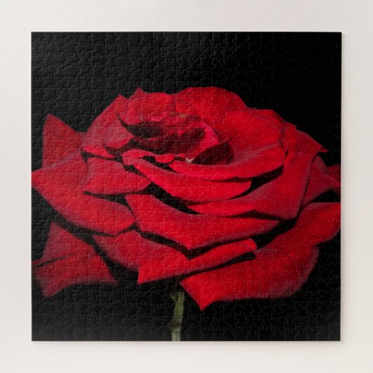 Red Rose - zwart Legpuzzel (Horizontaal)