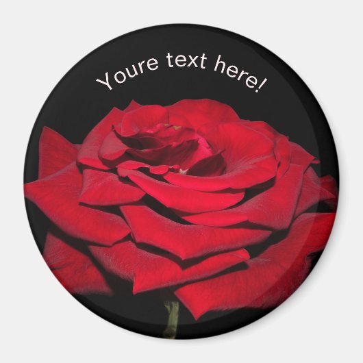 Red Rose - zwart Magneet (Voorkant)