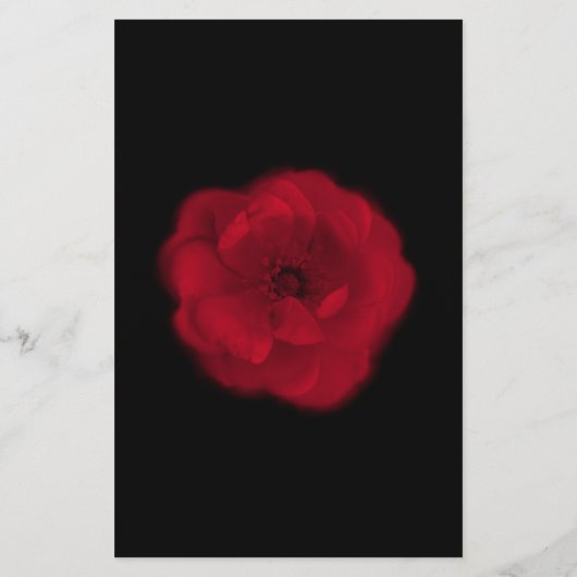 Red Rose. Zwarte achtergrond. Flyer (Achterkant)