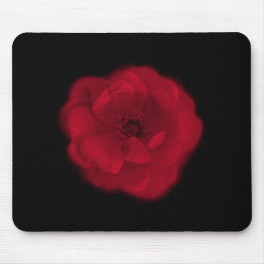Red Rose. Zwarte achtergrond. Muismat (Voorkant)