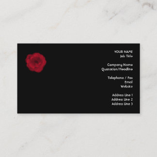 Red Rose. Zwarte achtergrond. Visitekaartje